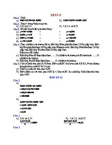 Đề thi học kì 1 Toán Lớp 5 - Đề số 13 (Có đáp án)