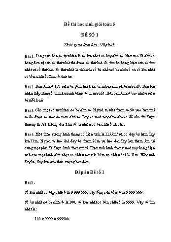 Đề thi học sinh giỏi môn Toán Lớp 5 - Đề số 1 (Có đáp án)