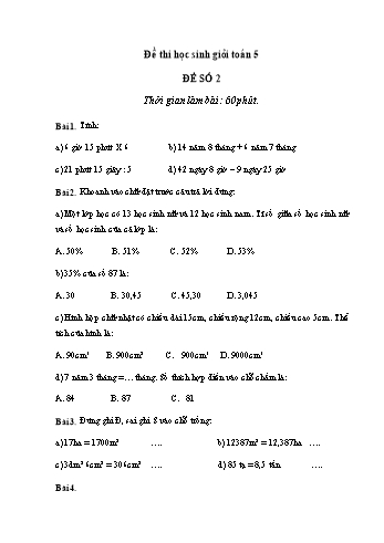 Đề thi học sinh giỏi môn Toán Lớp 5 - Đề số 2 (Có đáp án)