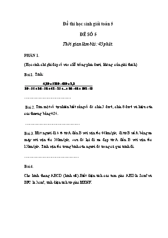 Đề thi học sinh giỏi môn Toán Lớp 5 - Đề số 5 (Có đáp án)