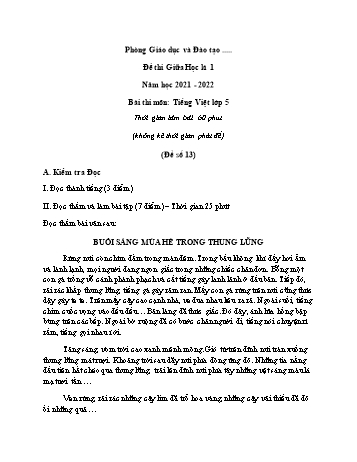 Đề thi giữa học kì 1 Tiếng Việt Lớp 5 - Đề số 13 - Năm học 2021-2022
