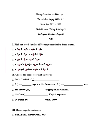 Đề thi chất lượng học kì 2 Tiếng Anh Lớp 5 - Đề 5 - Năm học 2021-2022