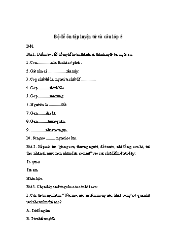 Bộ đề ôn tập Luyện từ và câu Lớp 5