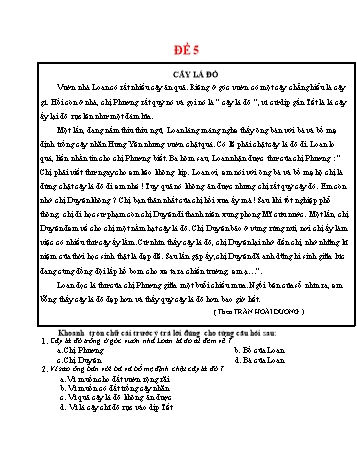 Đề đọc hiểu Tiếng Việt Lớp 5 - Đề 5
