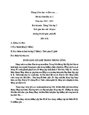 Đề thi giữa học kì 1 môn Tiếng Việt Lớp 5 - Đề số 6 - Năm học 2021-2022