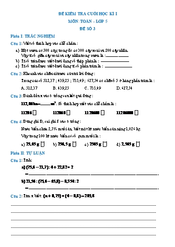 Đề kiểm tra cuối học kì I môn Toán Lớp 5 - Đề số 3