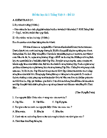 Đề thi học kì 1 môn Tiếng Việt Lớp 5 - Đề số 13 (Có đáp án)