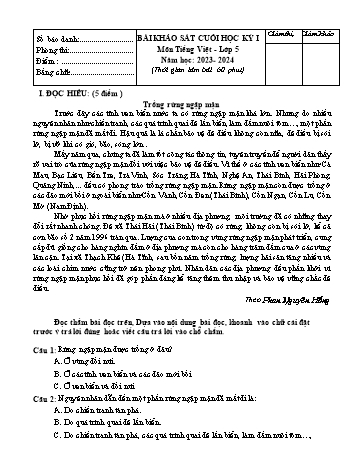 Bài khảo sát cuối học kỳ I môn Tiếng Việt Lớp 5 - Năm học 2023-2024 (Có đáp án)