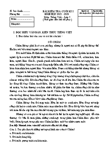 Bài kiểm tra cuối kì I môn Tiếng Việt Lớp 5 - Năm học 2023-2024 (Có đáp án)