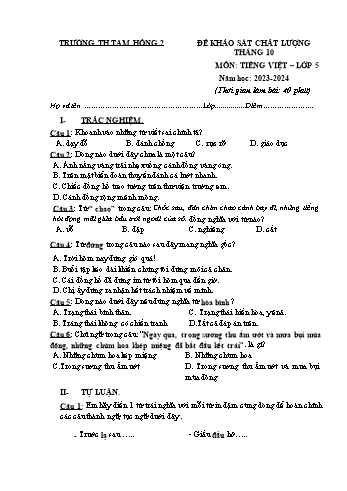 Đề khảo sát chất lượng tháng 10 môn Tiếng Việt Lớp 5 - Năm học 2023-2024 - Trường Tiểu học Tam Hồng 2