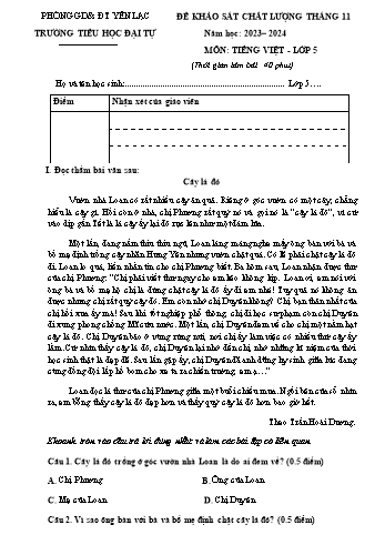Đề khảo sát chất lượng tháng 11 môn Tiếng Việt Lớp 5 - Năm học 2023-2024 - Trường Tiểu học Đại Tự