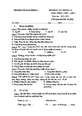 Đề khảo sát tháng 11 môn Tiếng Việt Lớp 5 - Năm học 2022-2023 - Trường Tiểu học Tam Hồng 2