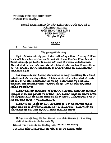 Đề tham khảo, ôn tập kiểm tra cuối học kì II môn Tiếng Việt Lớp 5 (Đọc hiểu) - Năm học 2022-2023 - Trường Tiểu học Điện Biên - Đề số 5